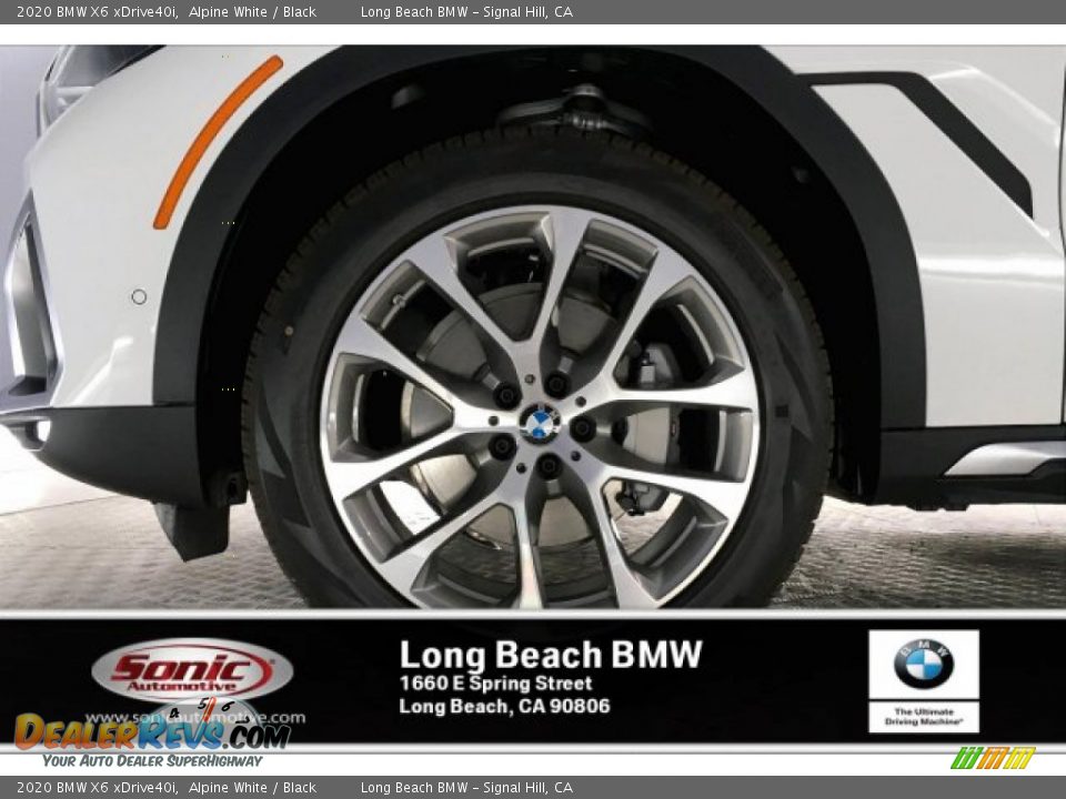2020 BMW X6 xDrive40i Alpine White / Black Photo #9