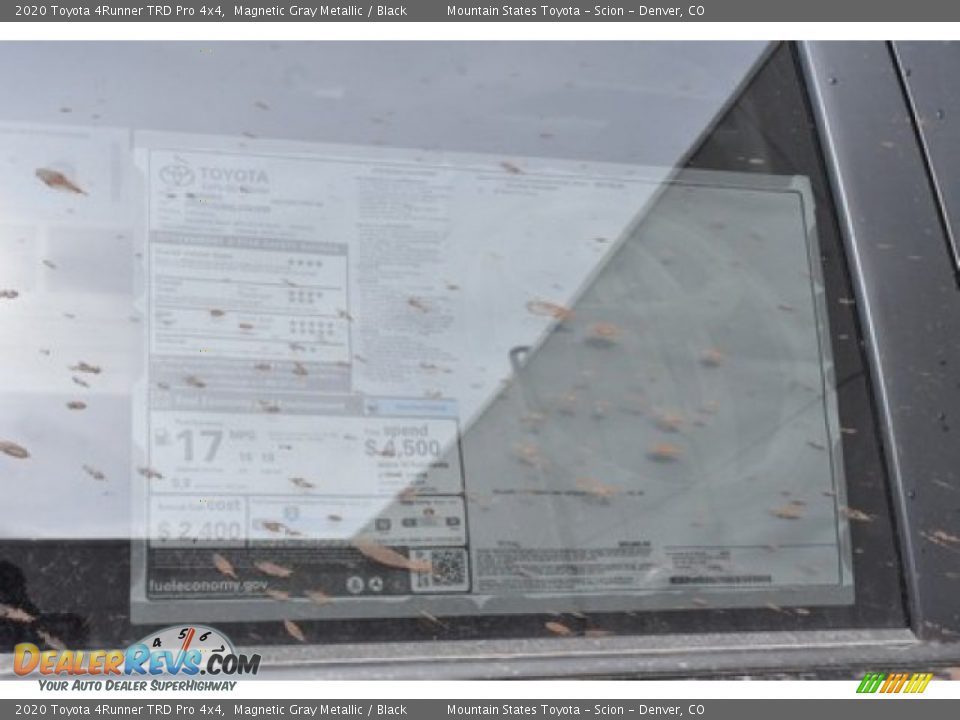 2020 Toyota 4Runner TRD Pro 4x4 Magnetic Gray Metallic / Black Photo #11