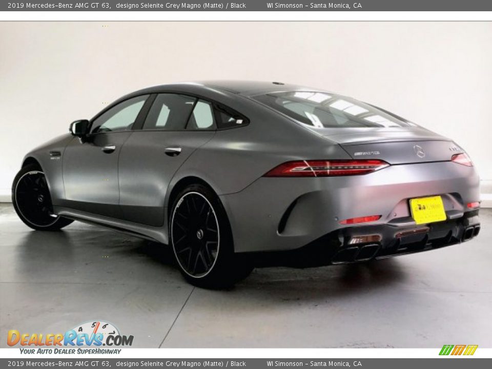 2019 Mercedes-Benz AMG GT 63 designo Selenite Grey Magno (Matte) / Black Photo #10