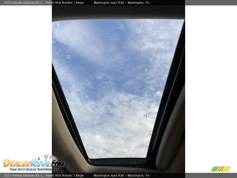 2020 Honda Odyssey EX-L Forest Mist Metallic / Beige Photo #33