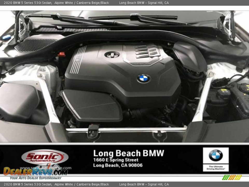 2020 BMW 5 Series 530i Sedan Alpine White / Canberra Beige/Black Photo #8