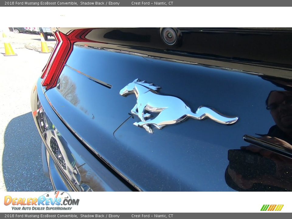 2018 Ford Mustang EcoBoost Convertible Shadow Black / Ebony Photo #10
