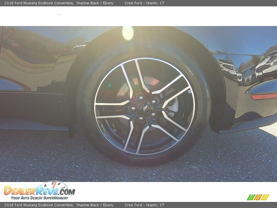 2018 Ford Mustang EcoBoost Convertible Shadow Black / Ebony Photo #20