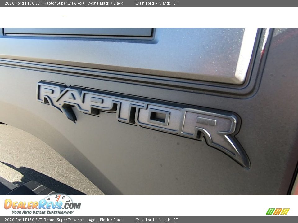 2020 Ford F150 SVT Raptor SuperCrew 4x4 Logo Photo #9