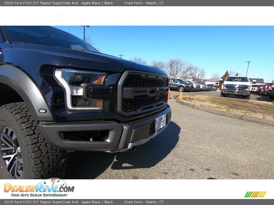 2020 Ford F150 SVT Raptor SuperCrew 4x4 Agate Black / Black Photo #29