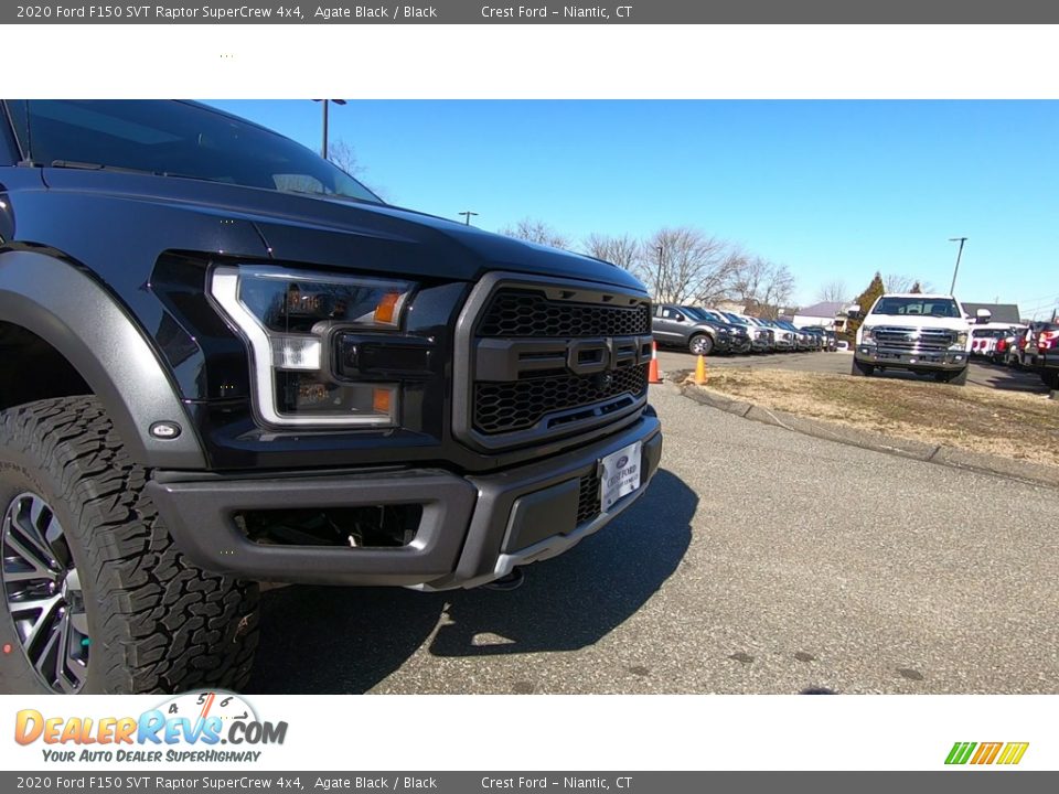 2020 Ford F150 SVT Raptor SuperCrew 4x4 Agate Black / Black Photo #29