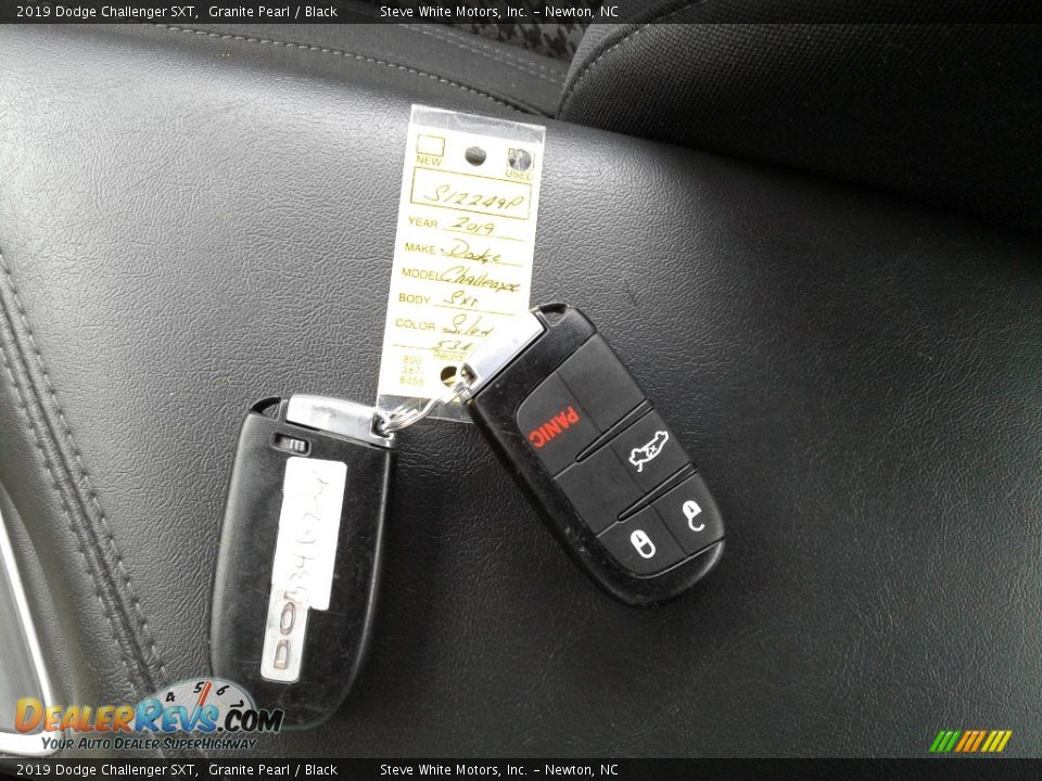 2019 Dodge Challenger SXT Granite Pearl / Black Photo #25