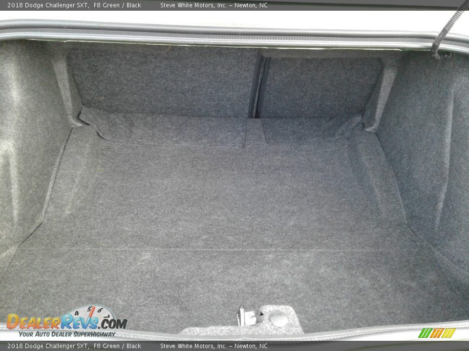 2018 Dodge Challenger SXT F8 Green / Black Photo #13