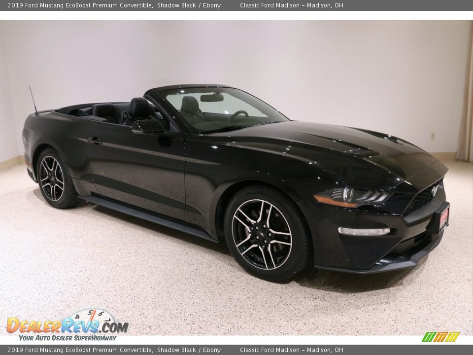 2019 Ford Mustang EcoBoost Premium Convertible Shadow Black / Ebony Photo #1