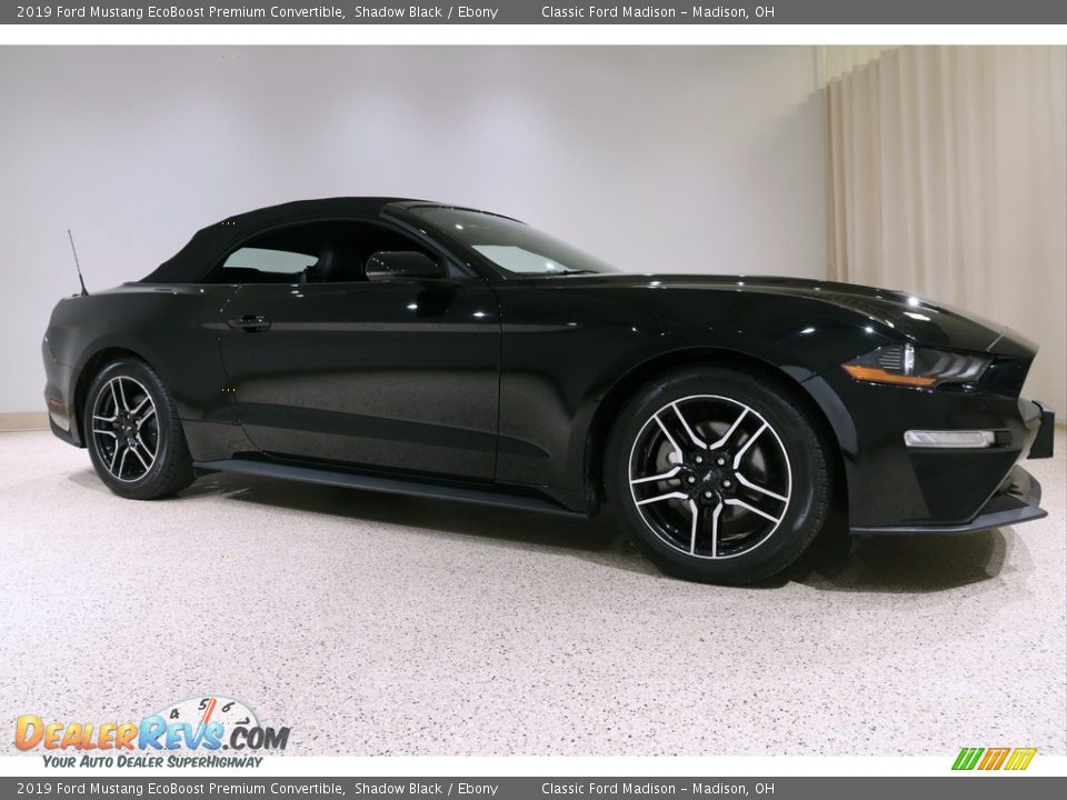 2019 Ford Mustang EcoBoost Premium Convertible Shadow Black / Ebony Photo #2