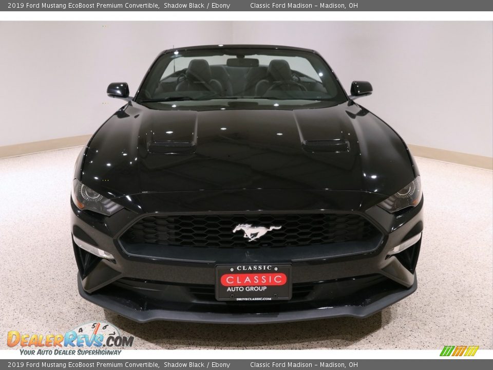2019 Ford Mustang EcoBoost Premium Convertible Shadow Black / Ebony Photo #3
