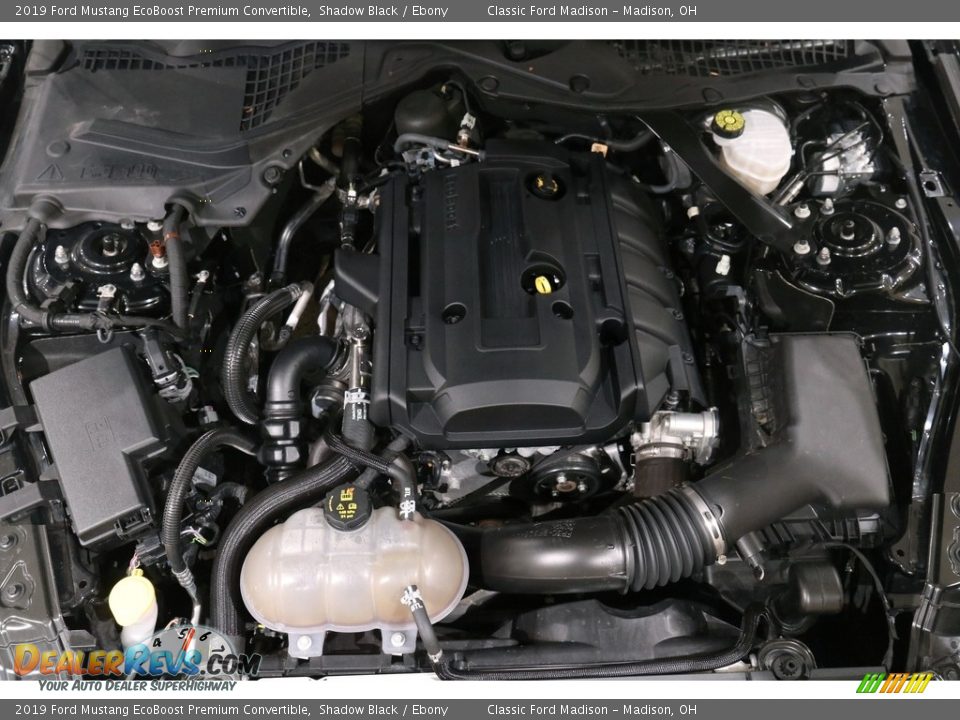 2019 Ford Mustang EcoBoost Premium Convertible Shadow Black / Ebony Photo #29