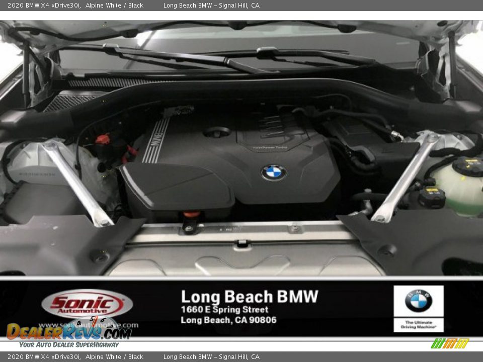 2020 BMW X4 xDrive30i Alpine White / Black Photo #8