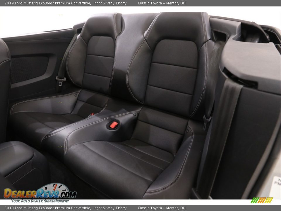 Rear Seat of 2019 Ford Mustang EcoBoost Premium Convertible Photo #18