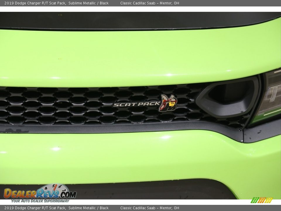 2019 Dodge Charger R/T Scat Pack Sublime Metallic / Black Photo #3