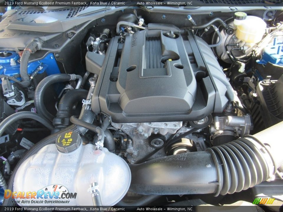 2019 Ford Mustang EcoBoost Premium Fastback Kona Blue / Ceramic Photo #6
