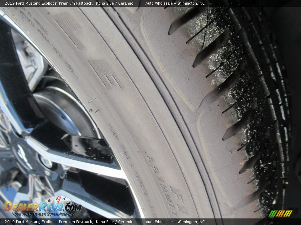 2019 Ford Mustang EcoBoost Premium Fastback Kona Blue / Ceramic Photo #8