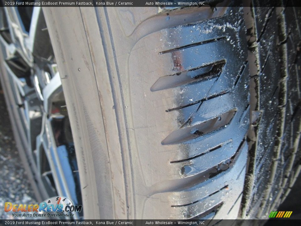 2019 Ford Mustang EcoBoost Premium Fastback Kona Blue / Ceramic Photo #9