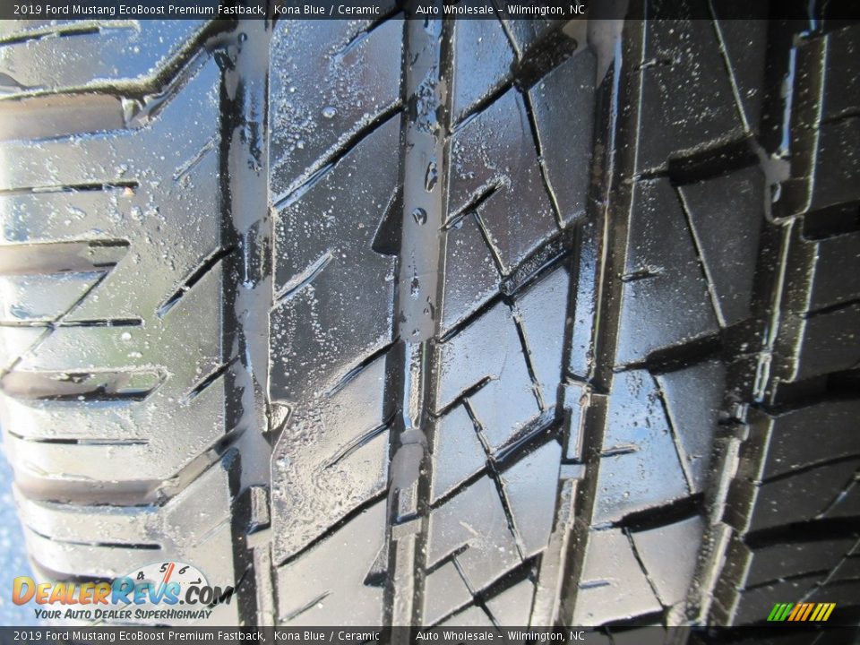 2019 Ford Mustang EcoBoost Premium Fastback Kona Blue / Ceramic Photo #10