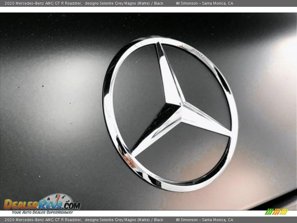 2020 Mercedes-Benz AMG GT R Roadster designo Selenite Grey Magno (Matte) / Black Photo #7