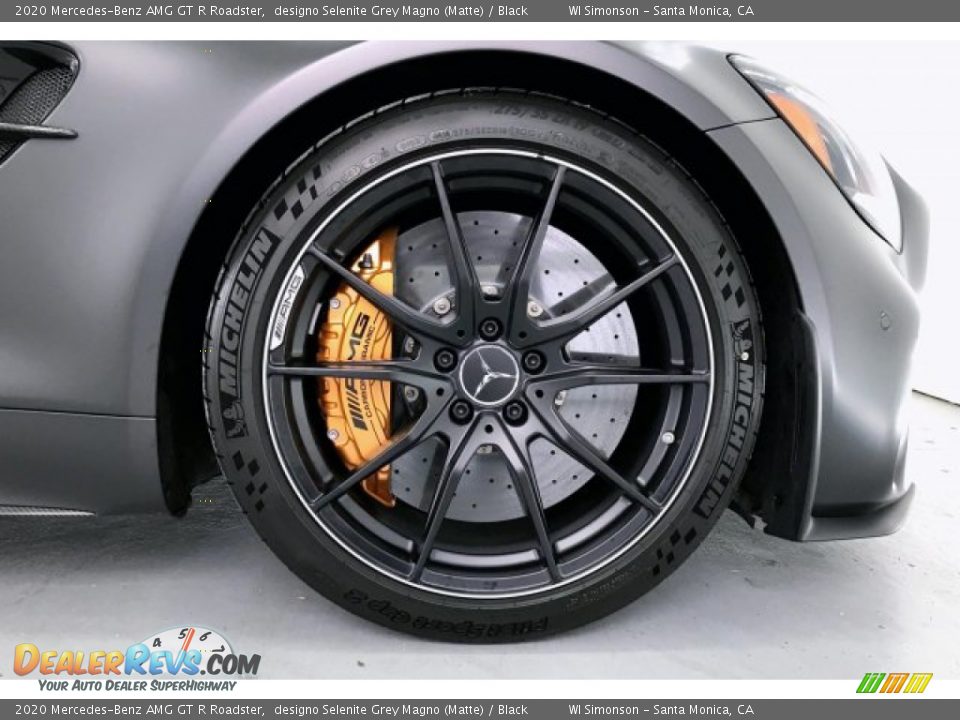 2020 Mercedes-Benz AMG GT R Roadster designo Selenite Grey Magno (Matte) / Black Photo #8