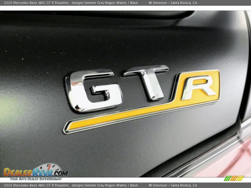 2020 Mercedes-Benz AMG GT R Roadster designo Selenite Grey Magno (Matte) / Black Photo #24