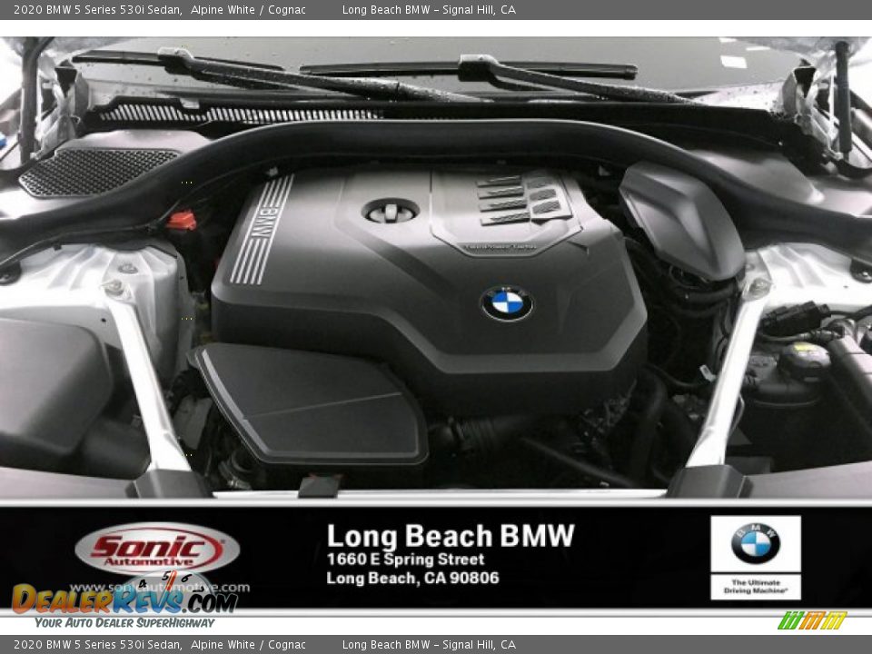 2020 BMW 5 Series 530i Sedan Alpine White / Cognac Photo #8