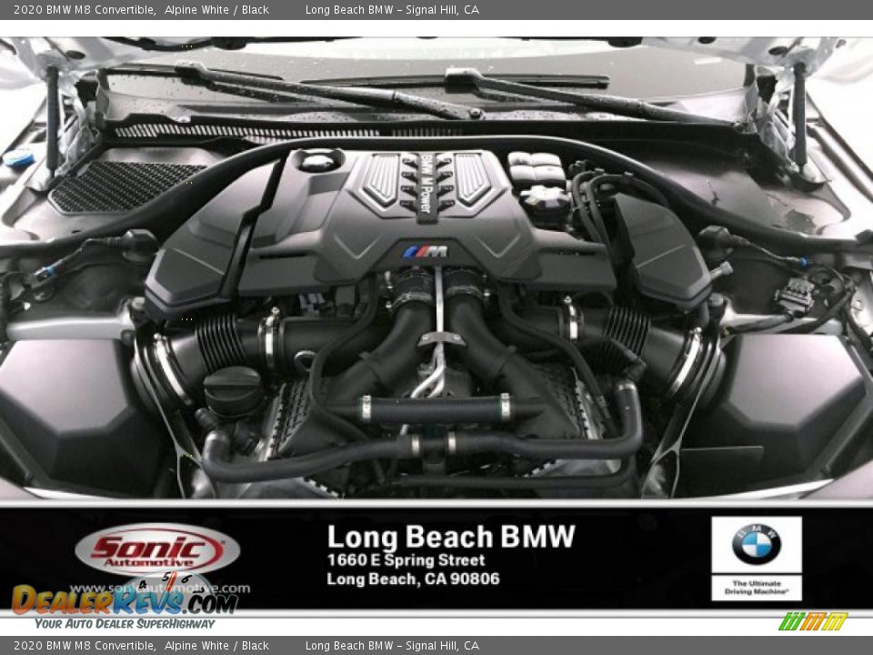 2020 BMW M8 Convertible Alpine White / Black Photo #8