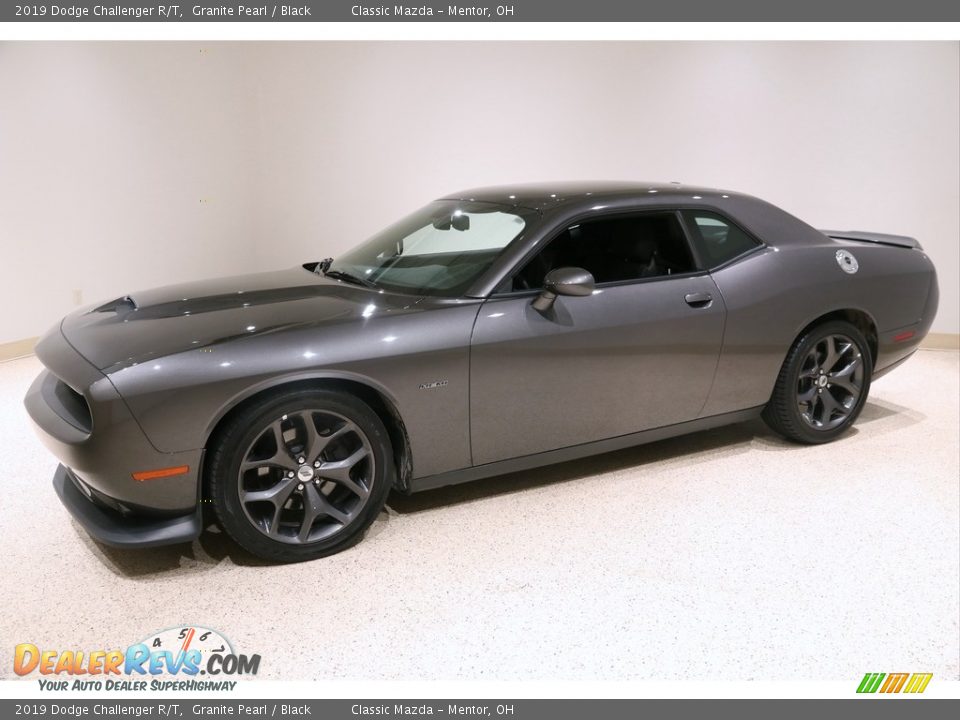 2019 Dodge Challenger R/T Granite Pearl / Black Photo #3