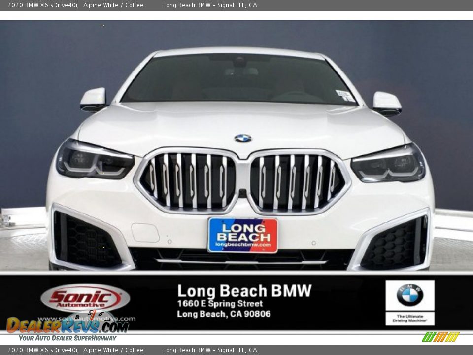 2020 BMW X6 sDrive40i Alpine White / Coffee Photo #2