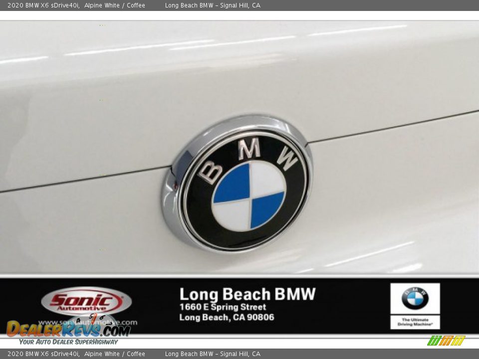 2020 BMW X6 sDrive40i Alpine White / Coffee Photo #15