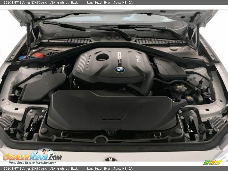 2020 BMW 2 Series 230i Coupe Alpine White / Black Photo #8