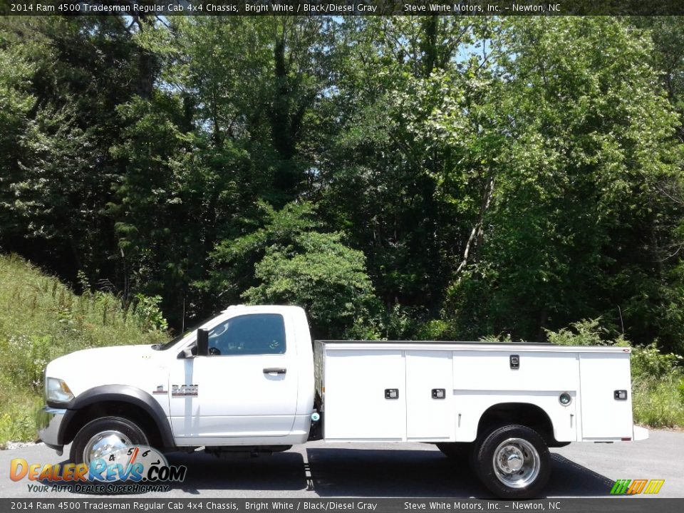 2014 Ram 4500 Tradesman Regular Cab 4x4 Chassis Bright White / Black/Diesel Gray Photo #1