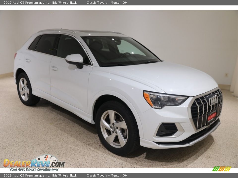 2019 Audi Q3 Premium quattro Ibis White / Black Photo #1