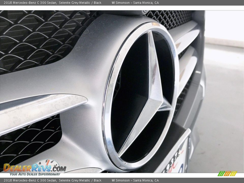 2018 Mercedes-Benz C 300 Sedan Selenite Grey Metallic / Black Photo #33