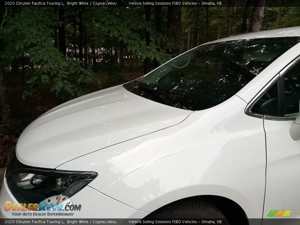 2020 Chrysler Pacifica Touring L Bright White / Cognac/Alloy Photo #4