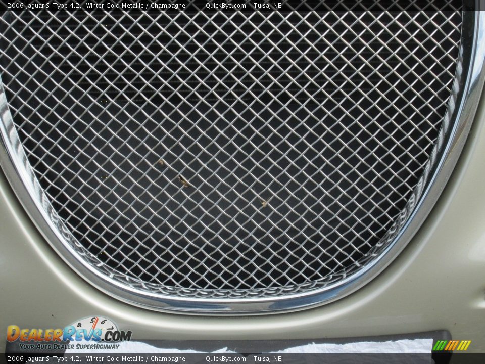 2006 Jaguar S-Type 4.2 Winter Gold Metallic / Champagne Photo #5