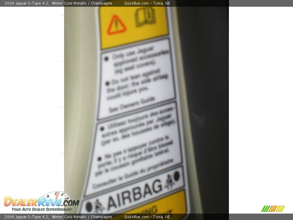 2006 Jaguar S-Type 4.2 Winter Gold Metallic / Champagne Photo #27