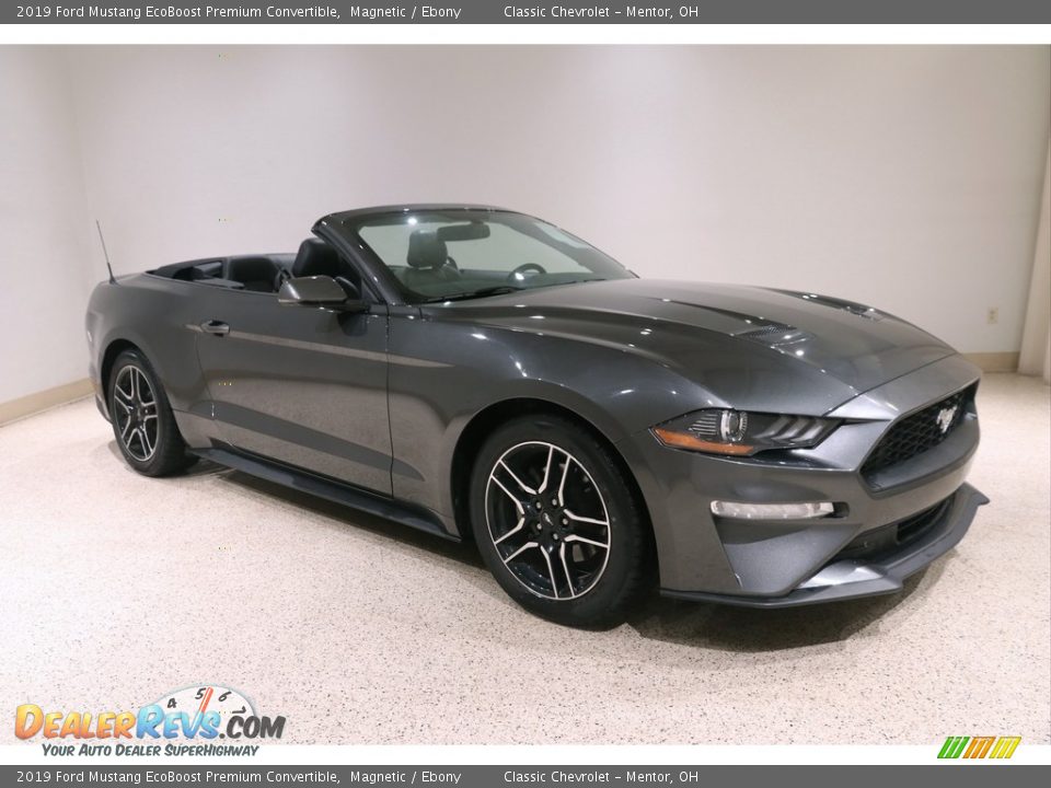 2019 Ford Mustang EcoBoost Premium Convertible Magnetic / Ebony Photo #1