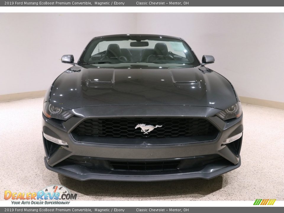 2019 Ford Mustang EcoBoost Premium Convertible Magnetic / Ebony Photo #4