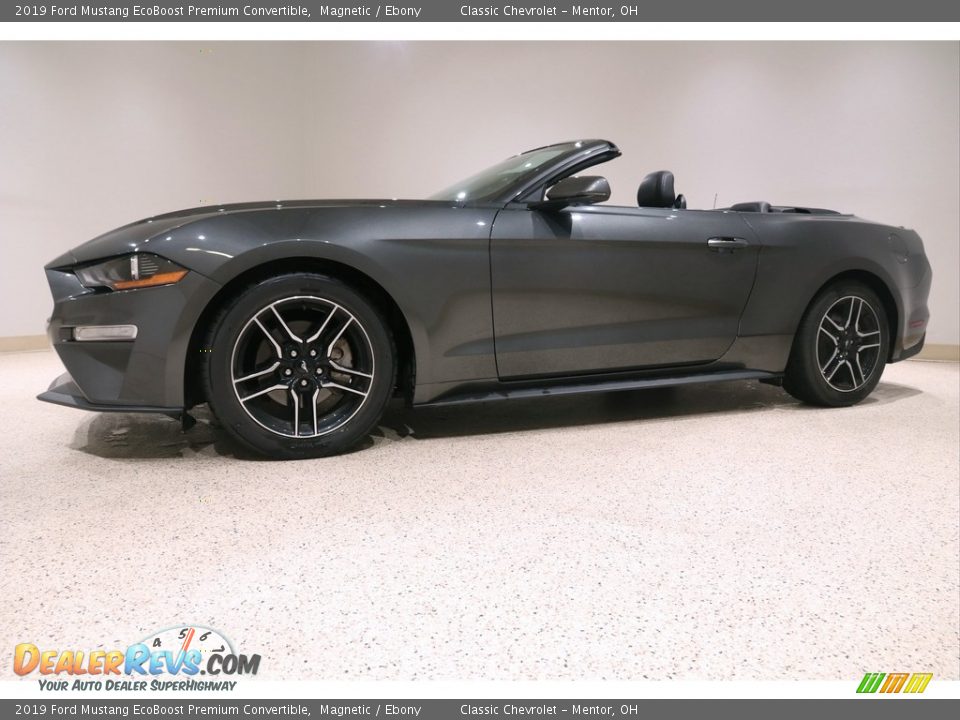 2019 Ford Mustang EcoBoost Premium Convertible Magnetic / Ebony Photo #6