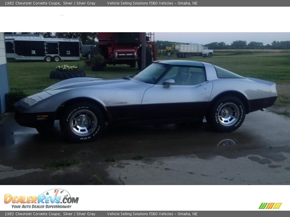 1982 Chevrolet Corvette Coupe Silver / Silver Gray Photo #1