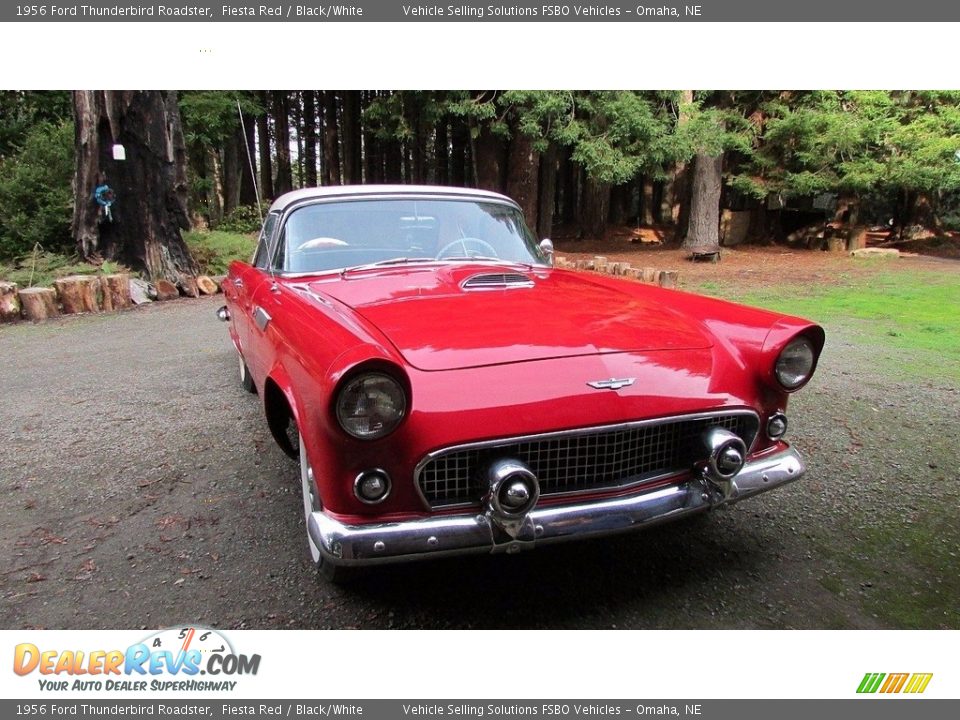 1956 Ford Thunderbird Roadster Fiesta Red / Black/White Photo #13