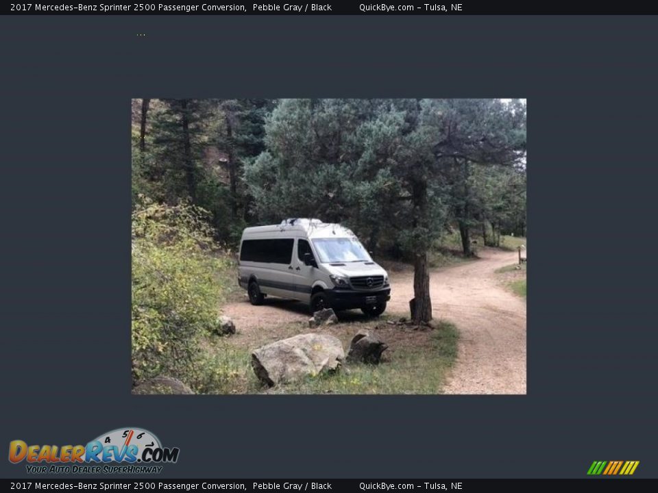 Pebble Gray 2017 Mercedes-Benz Sprinter 2500 Passenger Conversion Photo #2