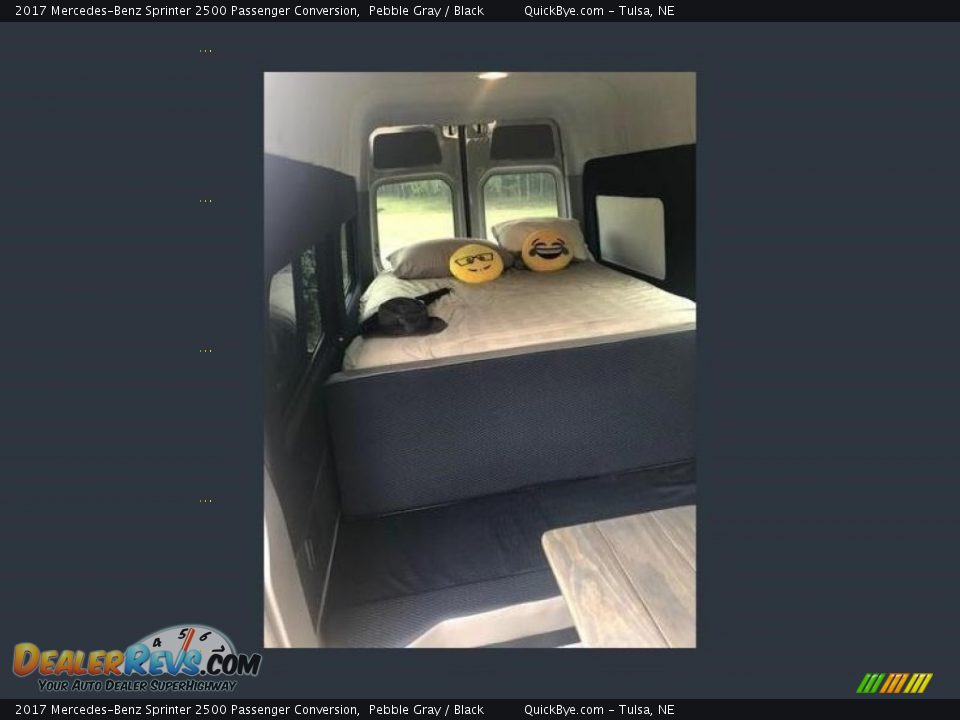 Rear Seat of 2017 Mercedes-Benz Sprinter 2500 Passenger Conversion Photo #12