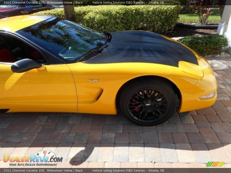 2001 Chevrolet Corvette Z06 Milliennium Yellow / Black Photo #7