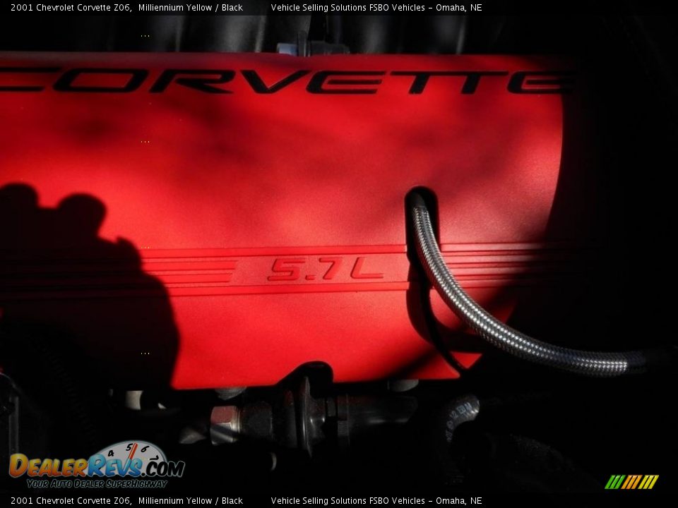 2001 Chevrolet Corvette Z06 Milliennium Yellow / Black Photo #22