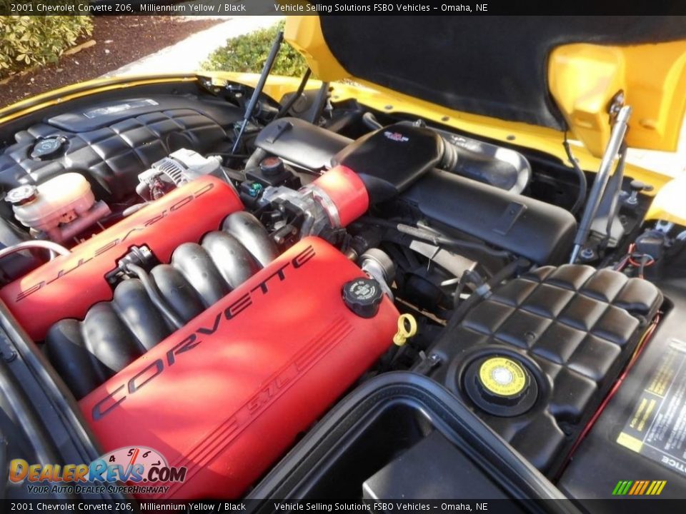 2001 Chevrolet Corvette Z06 Milliennium Yellow / Black Photo #24