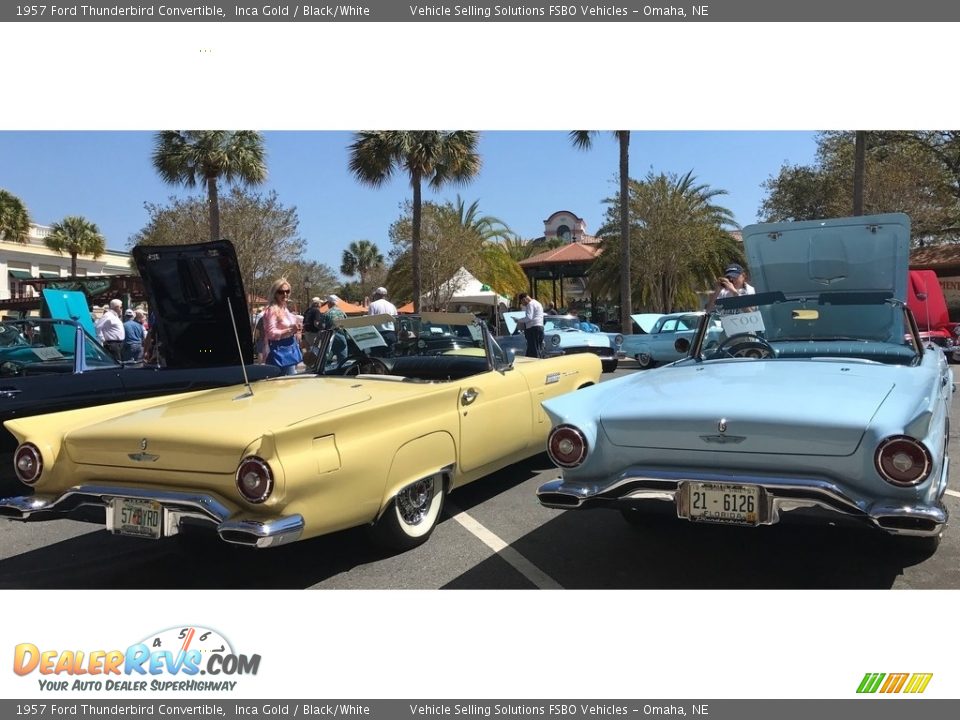 1957 Ford Thunderbird Convertible Inca Gold / Black/White Photo #16