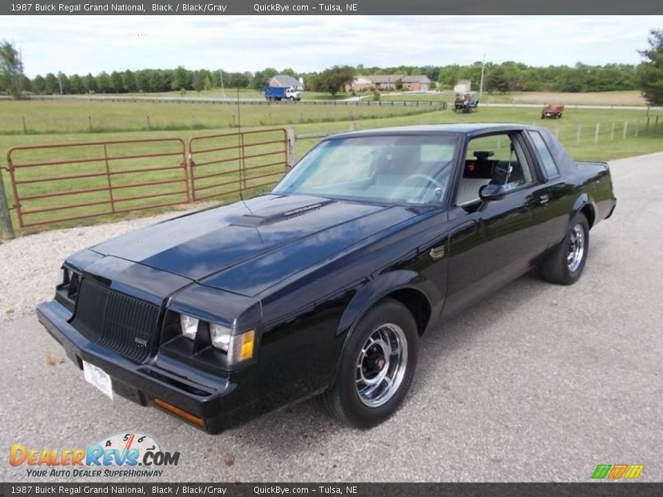 1987 Buick Regal Grand National Black / Black/Gray Photo #4